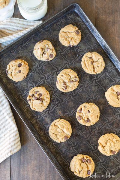 These peanut butter chocolate chip cookies are quick and easy, making them perfect for any day!