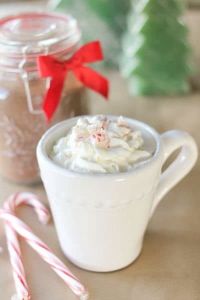 Homemade hot chocolate that's sugar-free! Mix up a big batch and store in the pantry, then just add milk!