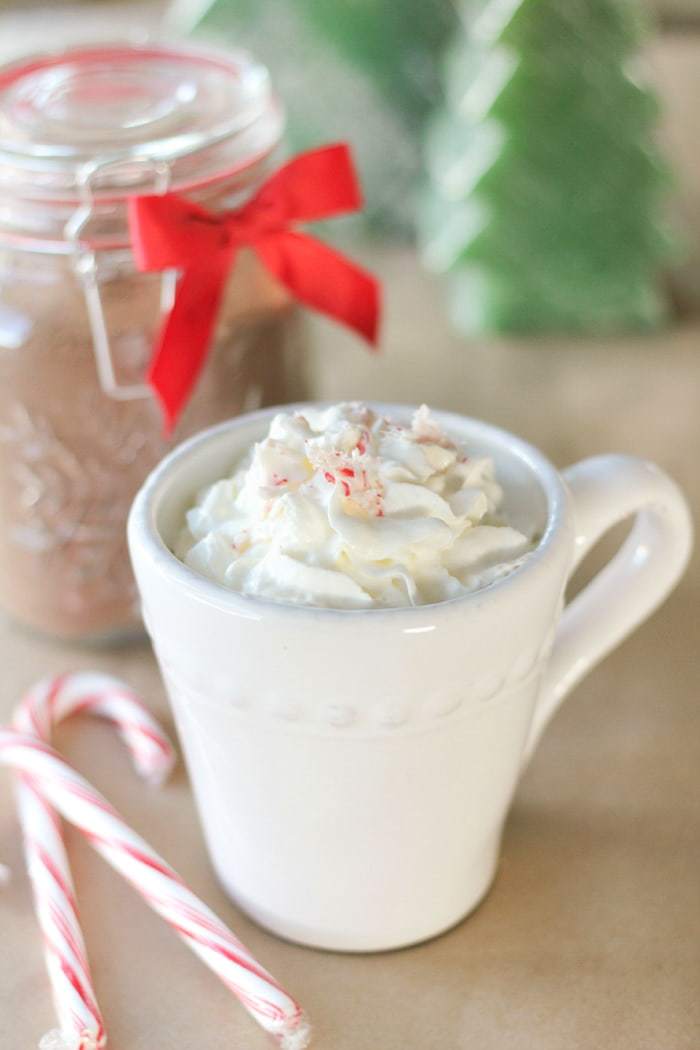 Homemade hot chocolate that's sugar-free! Mix up a big batch and store in the pantry, then just add milk!