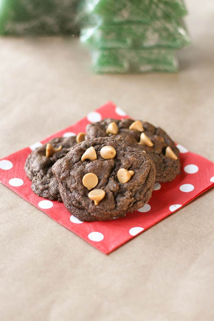 Chocolate Peanut Butter Cookies