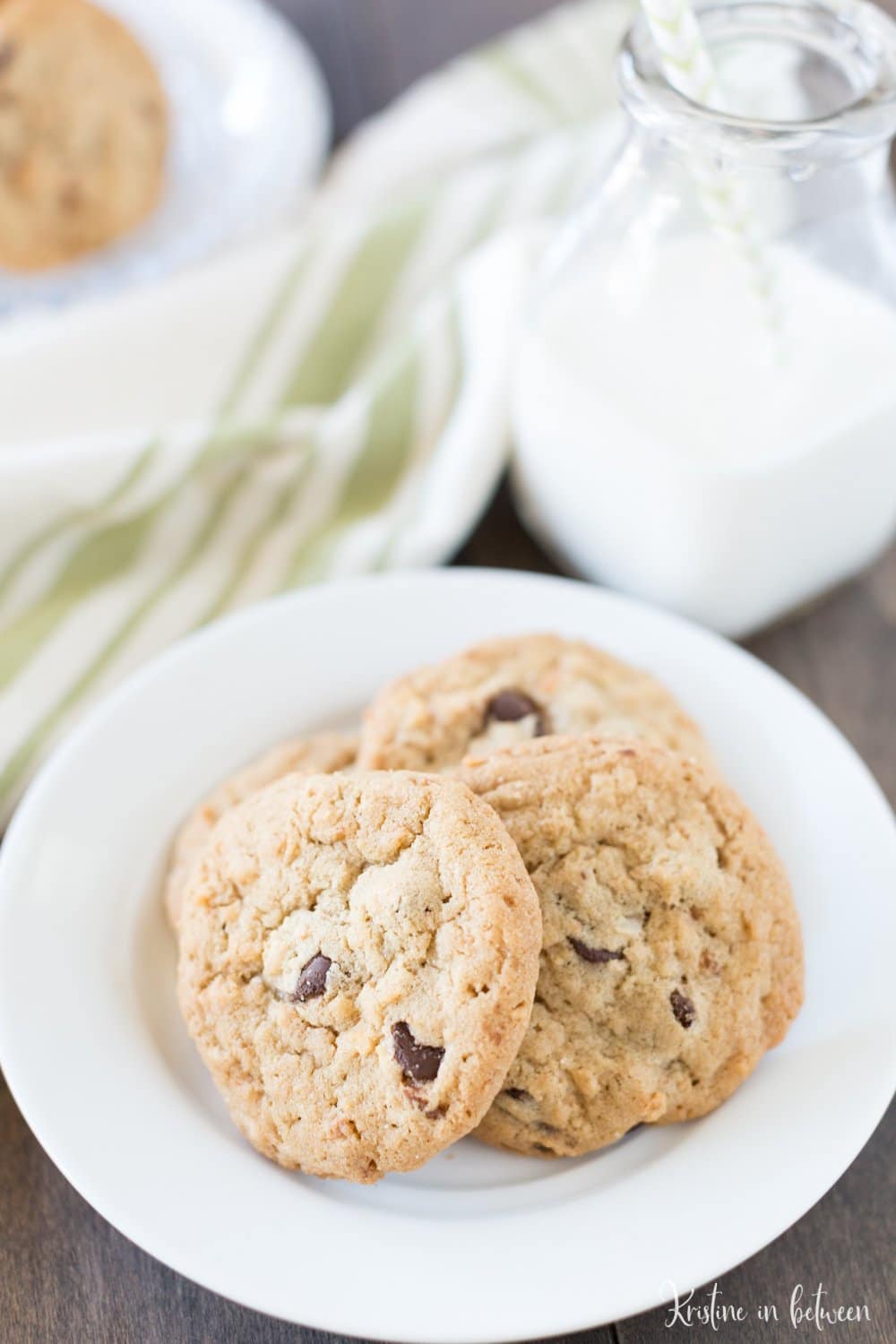 You'll love these easy chocolate chip coconut cookies that you can make in one-bowl and in under 30 minutes!