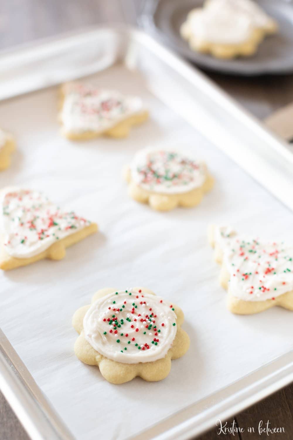 The best cut out sugar cookie recipe! The cookies are perfect for buttercream frosting!