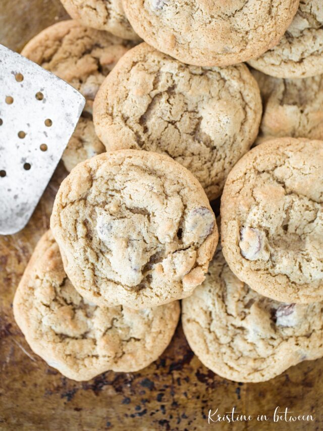 Homestyle Chocolate Chip Cookies