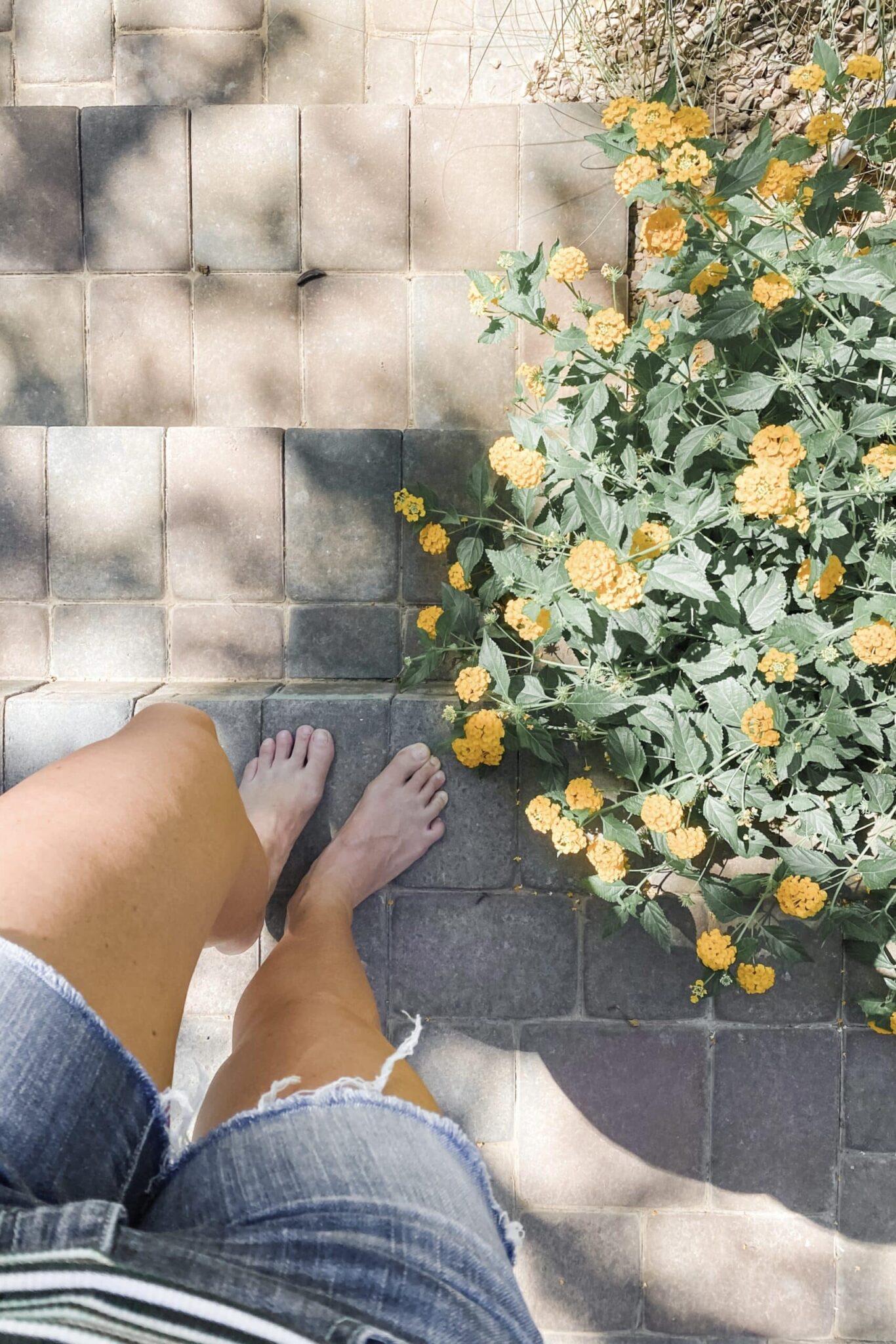 A woman standing on concrete steps outside next to a bush with yellow flowers.