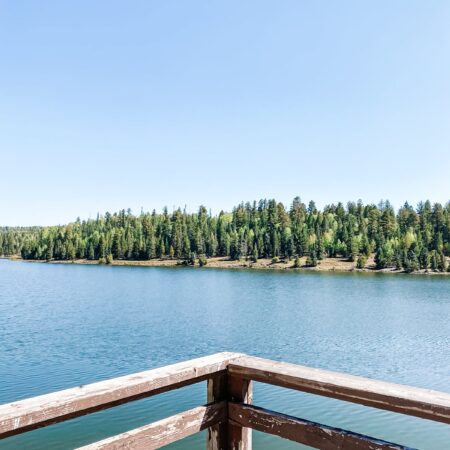 The view from the dock, looking out over a lake lined with pine trees.