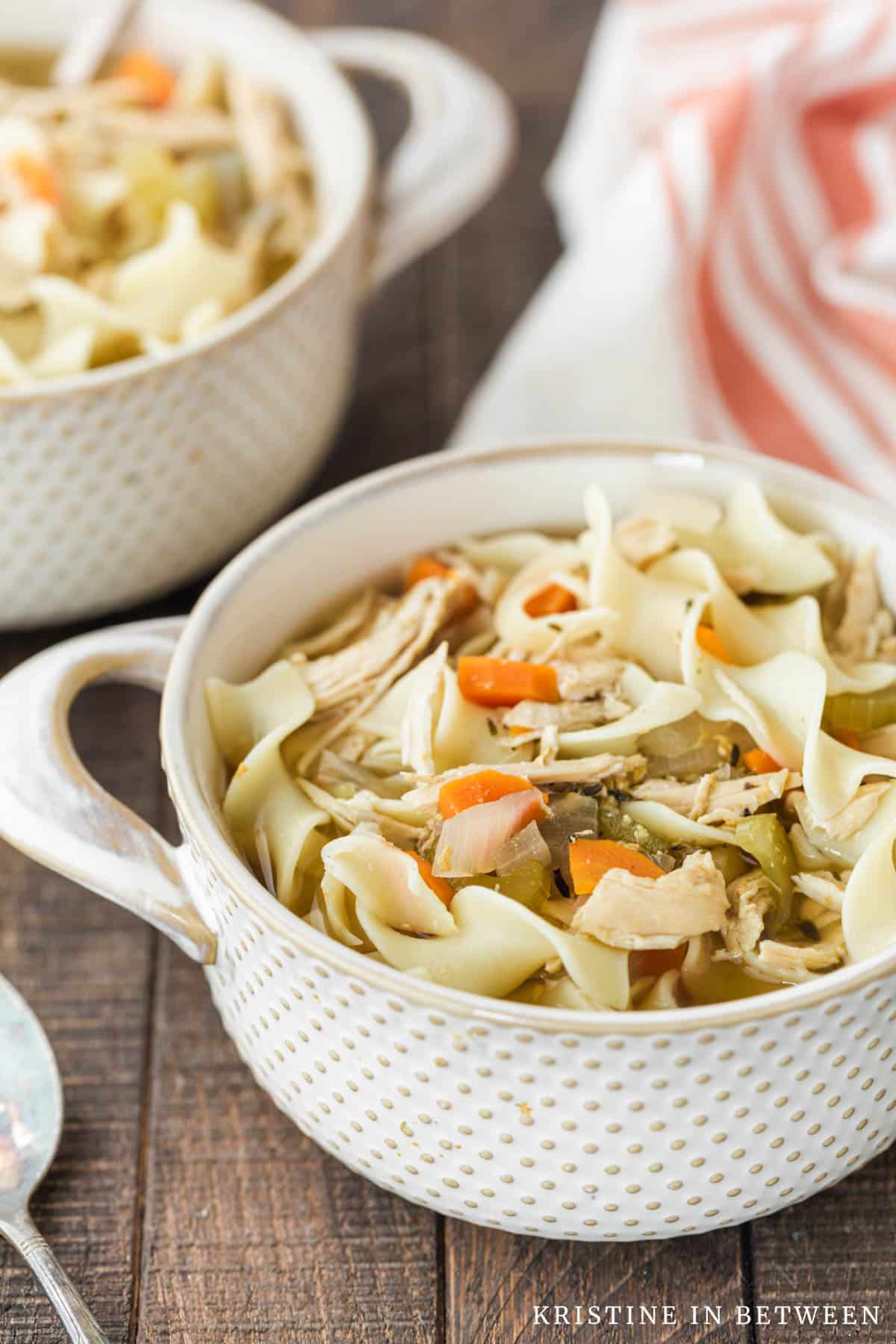 Easy Chicken Noodle Soup in the Crock-pot