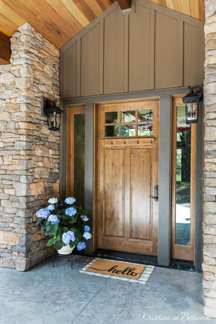 A wooden front door with windows and a blue hydrangea in a pot next to it.